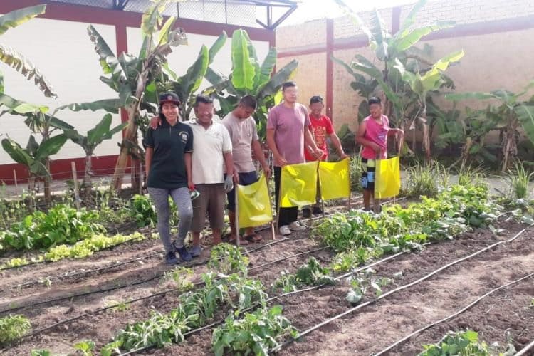 HORTALIZAS EN CENTRO DE ACOGIDA RESIDENCIAL