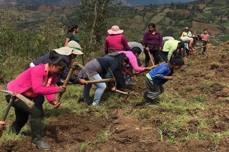 CAPACIDADES AGROPECUARIAS DE MUJERES DE COMUNIDADES CAMPESINAS DE HUÁNUCO