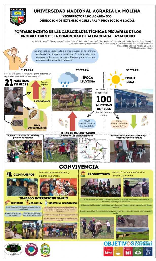 13. INFOGRAFÍA ALLPACHACA PECUARIO MICHAHI ROMERO EVANGELISTA FINAL_001