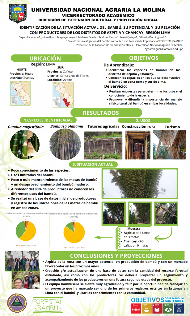 16. INFOGRAFÍA FORESTAL BAMBÚ FINAL_001
