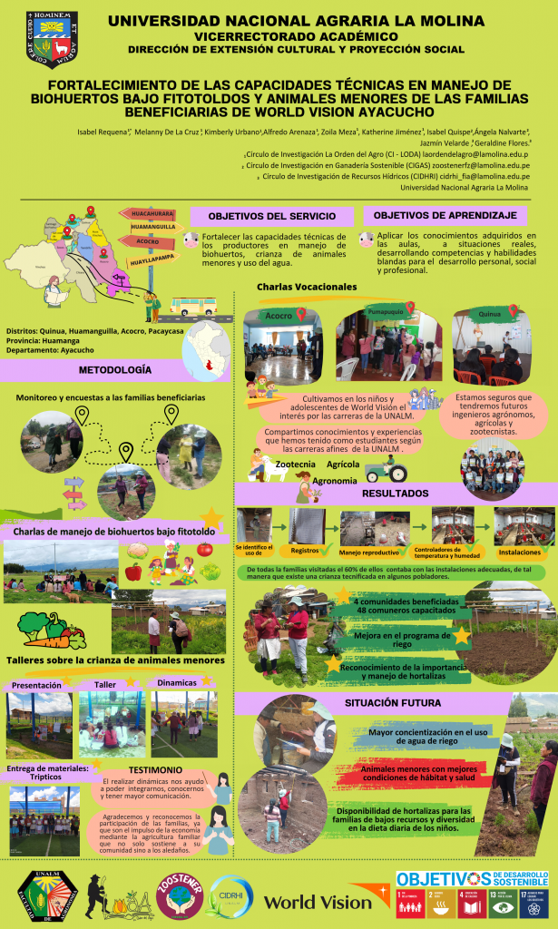 18. INFOGRAFÍA VISION MUNDIAL AYACUCHO FINAL_001