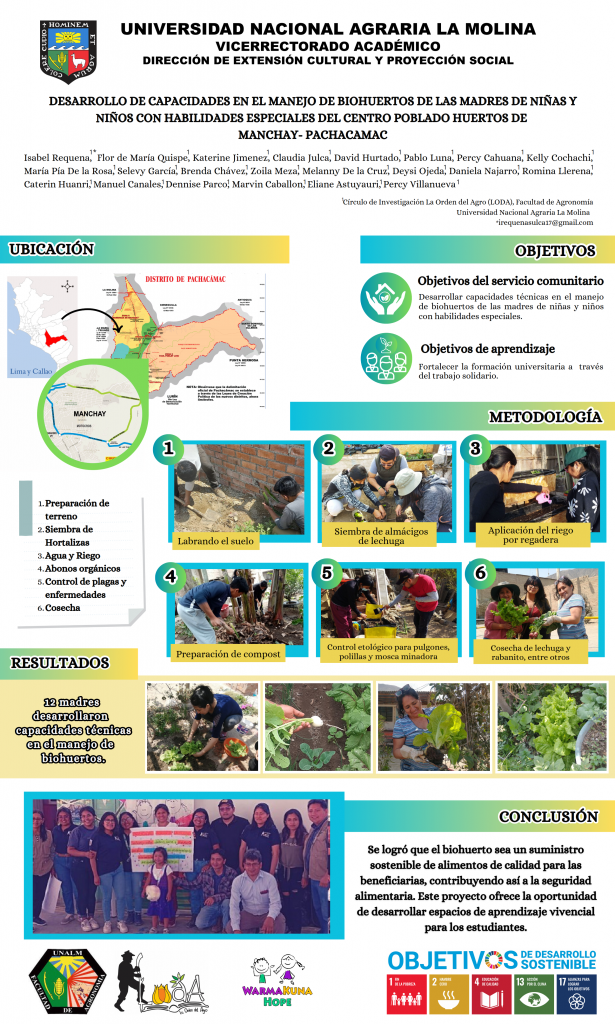 2. INFOGRAFÍA CENTRO POBLADO MANCHAY DAVID HURTADO CCANTO FINAL_001