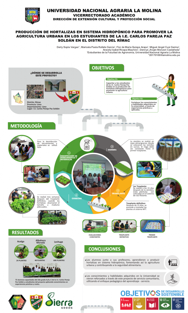 7. INFOGRAFÍA HIDROPONÍA DERLY SOPLAS VARGAS FINAL_001