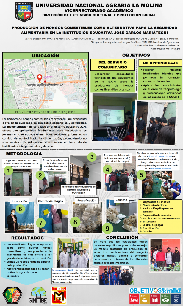 8. INFOGRAFÍA HONGOS COMESTIBLES FINAL_001