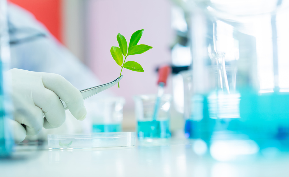 Maestría en Aseguramiento de la Calidad de Laboratorios